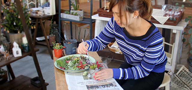 多肉植物の寄せ植え